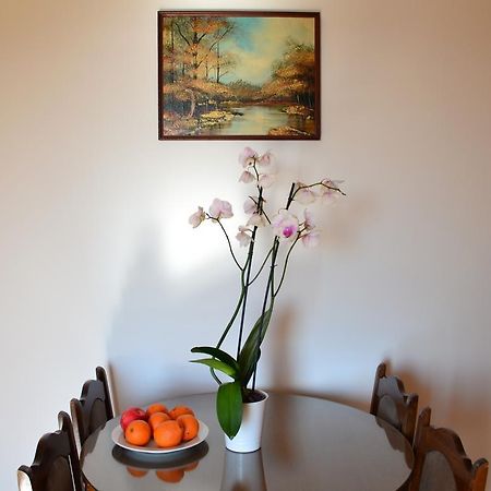 Apartment Matea Petrovac Zewnętrze zdjęcie