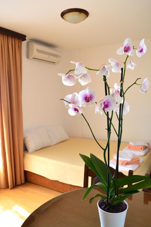 Apartment Matea Petrovac Zewnętrze zdjęcie